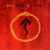 Snakes & Arrows Tour Book